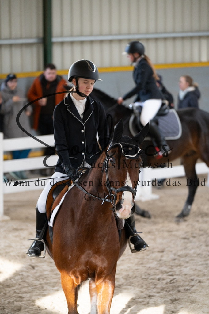 A7V02022 | Pferdefotograf