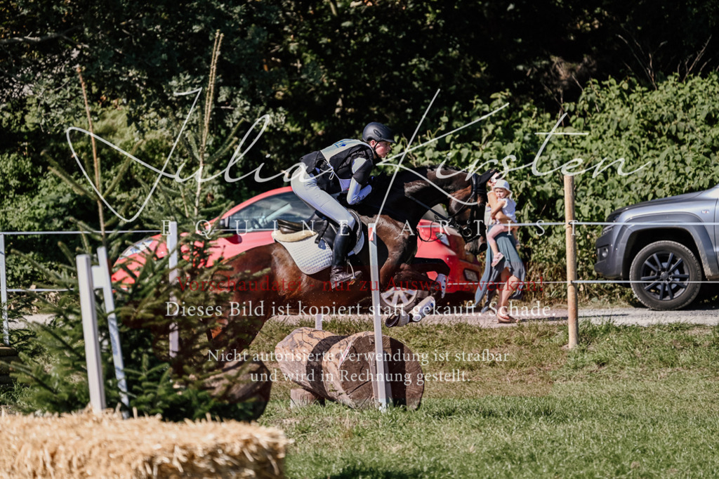 DSC_1458 | Pferde- und Turnierfotografie in Westsachsen. Pferdeportraits, Auftragszeichnungen und intuitive Kunst.