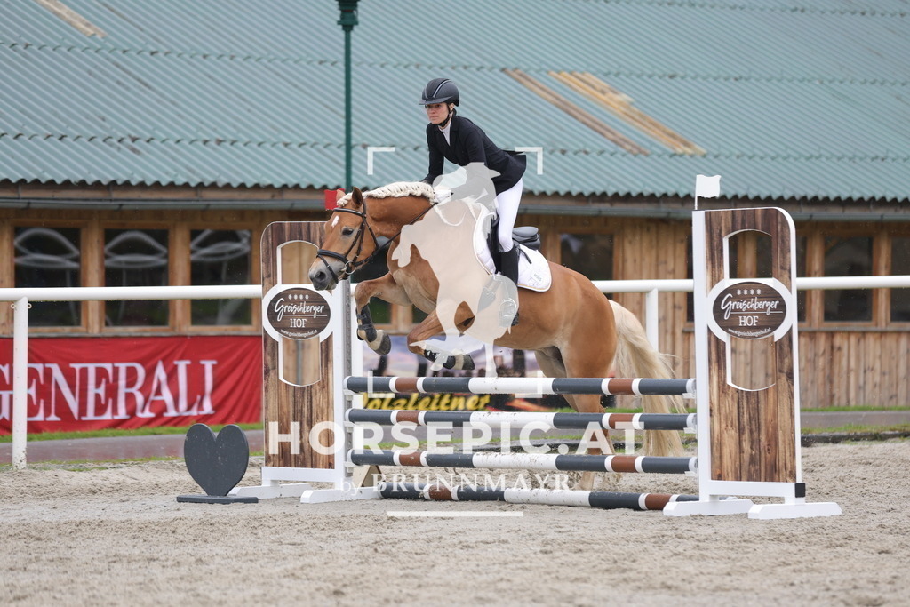 0P6A7956 | Willkommen bei Brunnmayr - Design & Fotografie – Ihrem Spezialisten für Reitturniere und Pferdeveranstaltungen in Oberösterreich, Salzburg und Bayern! Seit über 17 Jahren sind wir leidenschaftlich dabei.