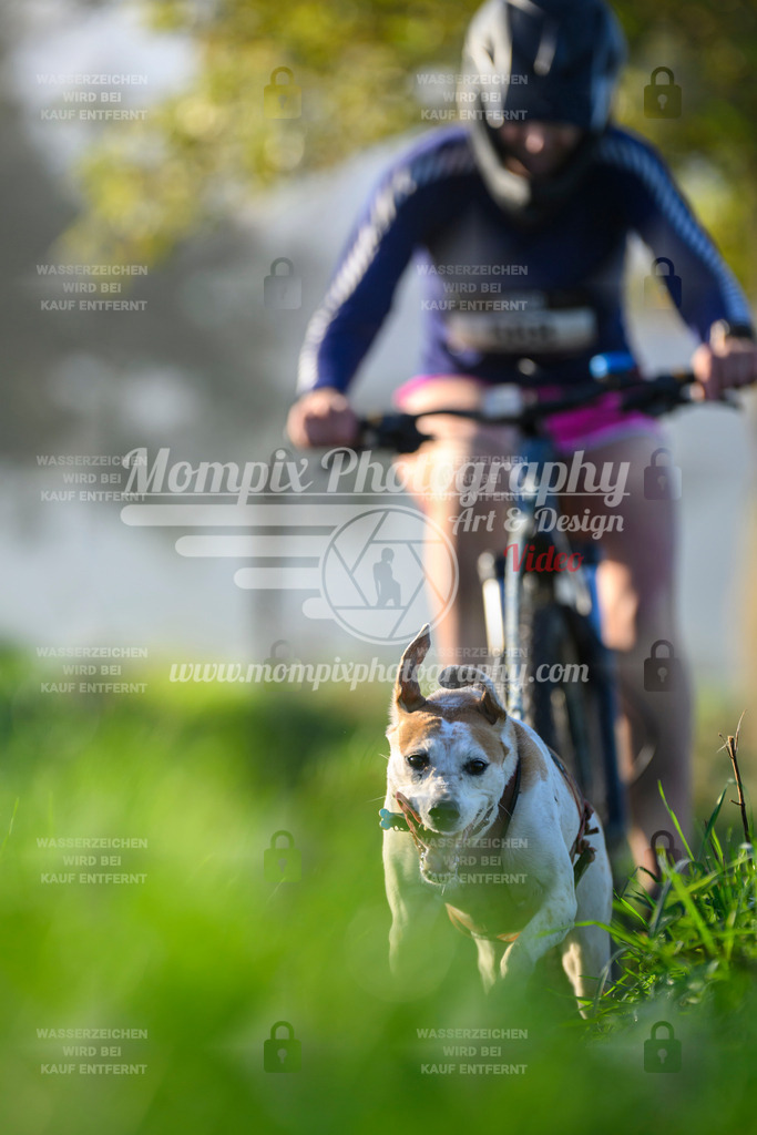 MompixPhotography_20TSB_E3_Bike-216 | PayLife
