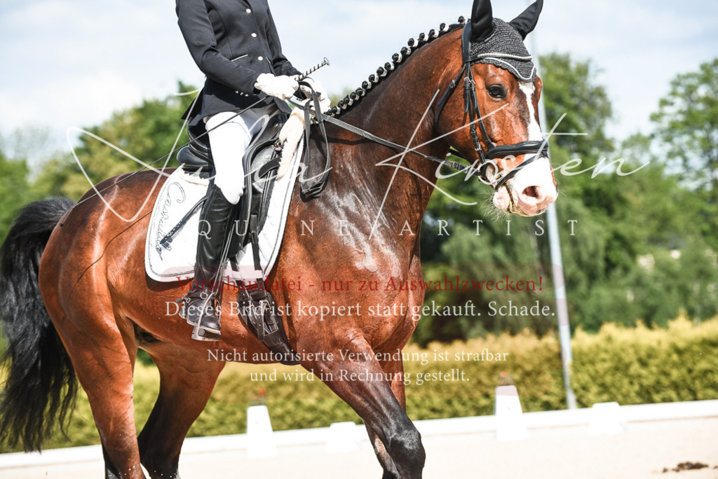 20230518_JK-Röhrsdorf-12-0165 | Pferde- und Turnierfotografie in Westsachsen. Pferdeportraits, Auftragszeichnungen und intuitive Kunst.