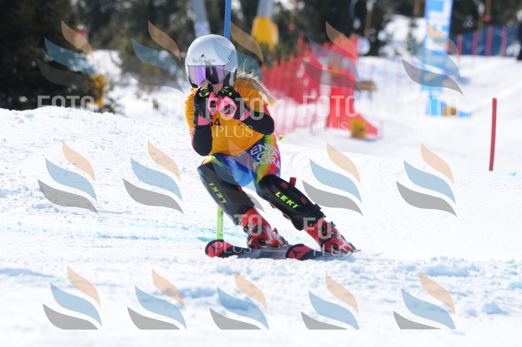 C8871 | holidayphoto