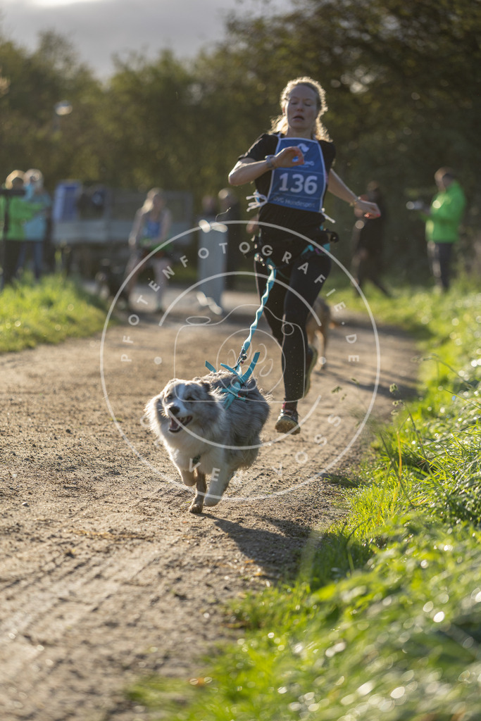 Pfotenfotografie.de_DV3A2930 | Hundefotografie, Tierfotograf, Pfotenfotografie, Fotoshooting Hund, Hunde Portrait, Hundesport, Hundeportraits, Heideshooting, Hunde, Sportfotograf, Hundefotograf, Turnierhundsport, THS, canicross - Realisiert mit Pictrs.com