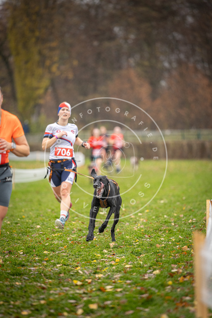 CaniXpix_DV3A9248 | Hundefotografie, Tierfotograf, Pfotenfotografie, Fotoshooting Hund, Hunde Portrait, Hundesport, Hundeportraits, Heideshooting, Hunde, Sportfotograf, Hundefotograf, Turnierhundsport, THS,  - Realisiert mit Pictrs.com