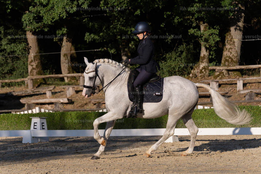 WM_DR_133_sinafilmart_IN04950 | working equitationturnier fotograf videograf stoibphotography marixx film working equitation deutschland reitsport turnierfotografie eventfotografie equestrian events