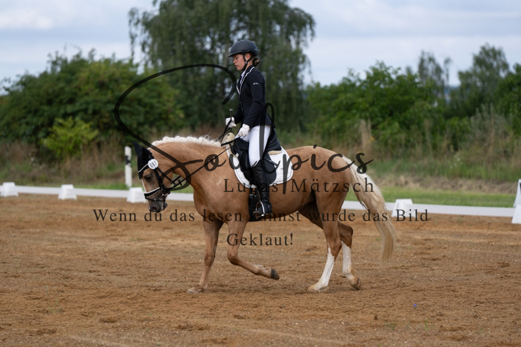 A7V03797 | Turnier/Reitfotograf