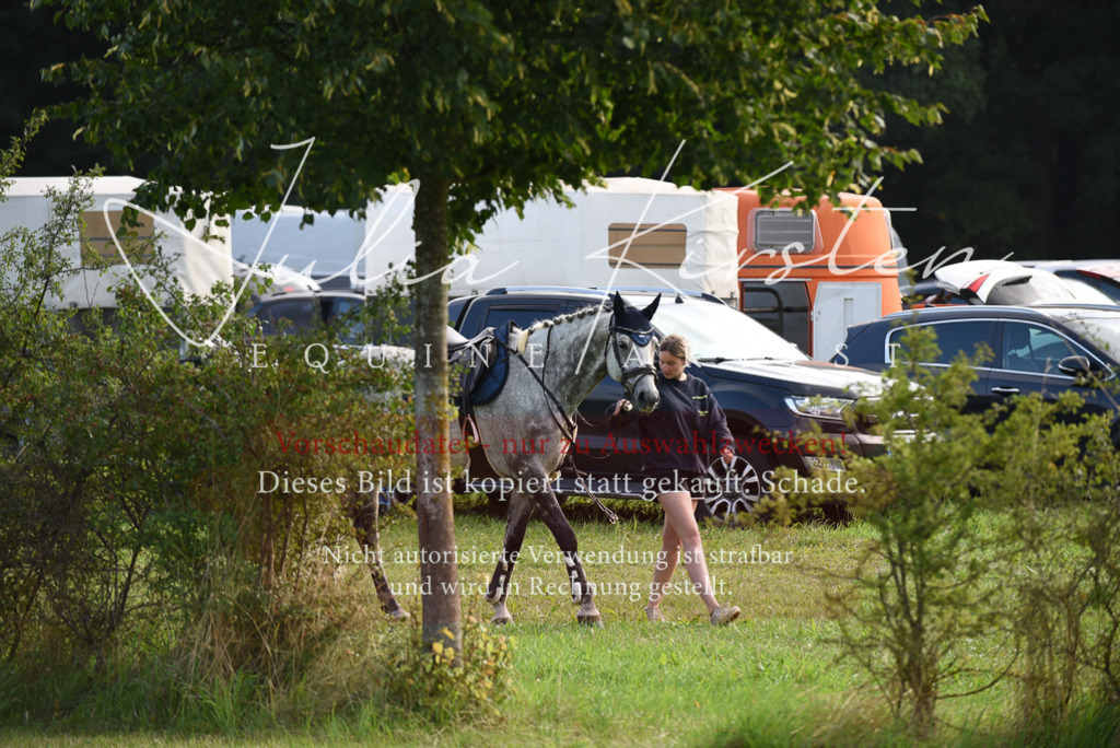 DSC_8520 | Pferde- und Turnierfotografie in Westsachsen. Pferdeportraits, Auftragszeichnungen und intuitive Kunst.