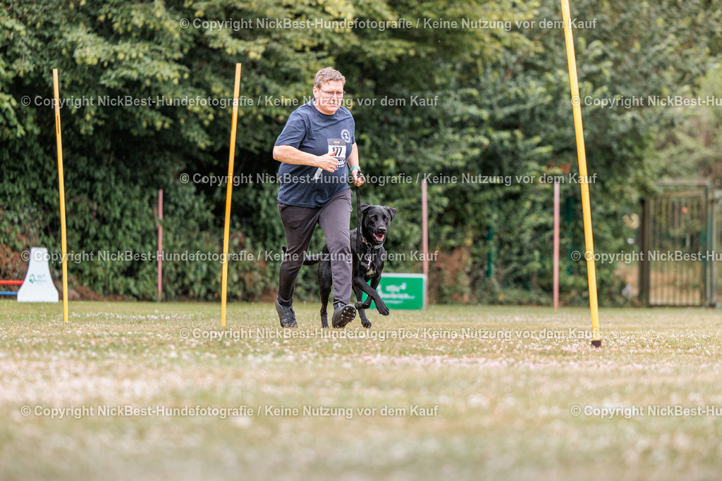 THS-Quakenbrück-2026-Nickbest-Hundefotografie-3877 | Dein Hund! Dein Moment! Deine Erinnerungen! Hundefotografie in Bremen Blumenthal. Ich fange die besonderen Momente deines Vierbeiners ein – ob Indoor mit Blitzanlage oder in der freien Natur. Sicher dir dein Moment und dein Termin für eure Erinnerungen.