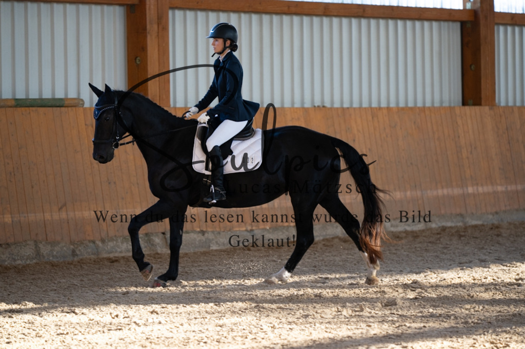 A7V01625 | Turnier/Reitfotograf