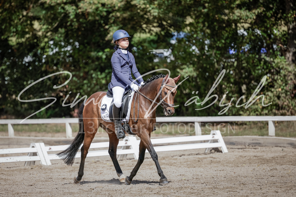 20250906-_3LI5601 | Tierfotografie Pferde, Hunde, Katzen, Haustiere.
Turnierfotografie Reitturniere, Reiten, Springreiten, Dressur in Hanau, dem Main-Kinzig-Kreis und dem Rhein-Main- Gebiet um Frankfurt