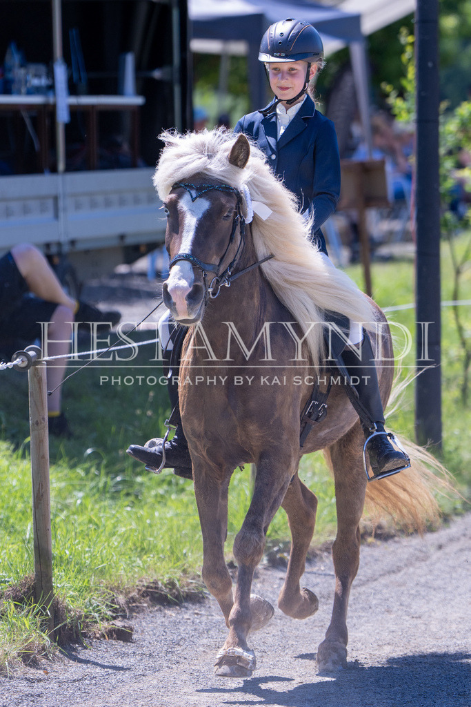 KAI08938 | Ihr sucht einen Fotografen für eure nächste OSI? Ich begleite auch euer Turnier für Islandpferde fotografisch.  - Realisiert mit Pictrs.com