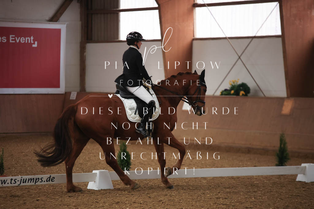 IMGT6998 | pl-fotografie