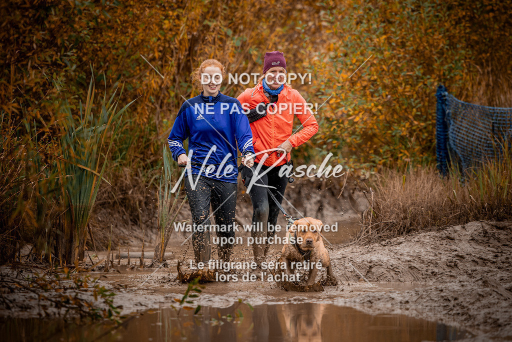 nelerasche_Creepy2025_Sa11-12_296 | nelerasche