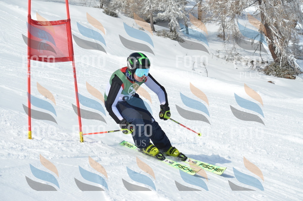 D9112 | holidayphoto