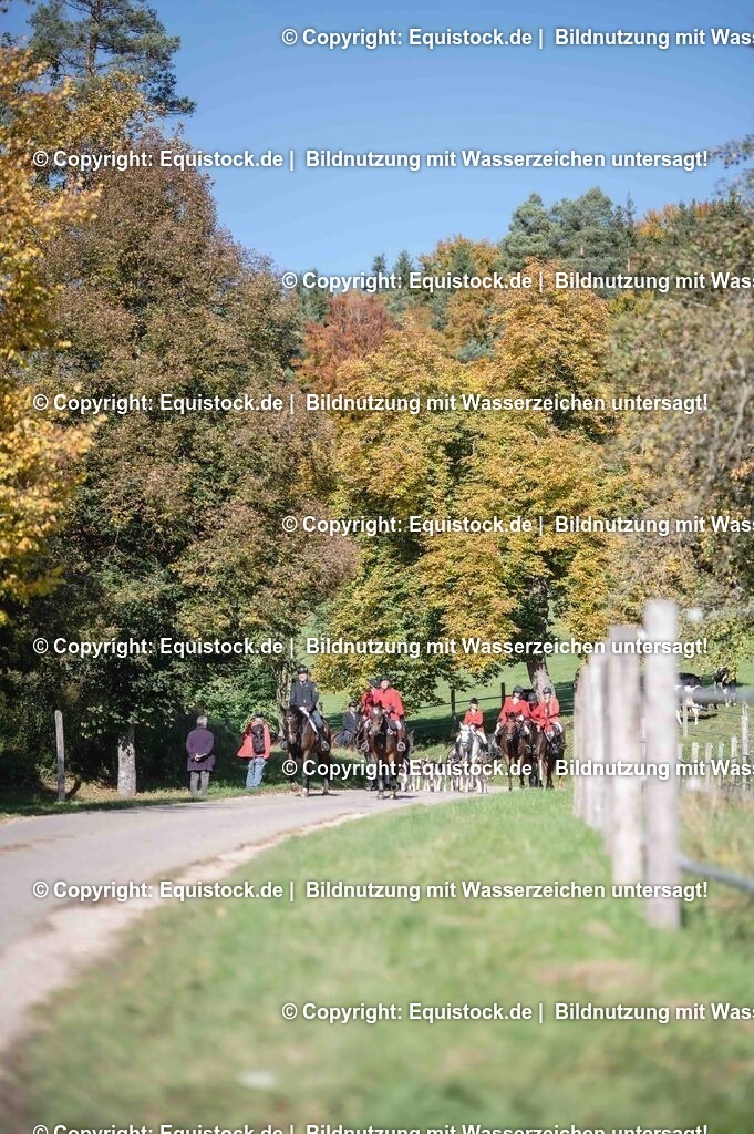 20251011_Jagd-Marbach_0569 | Foto: Thomas Hartig