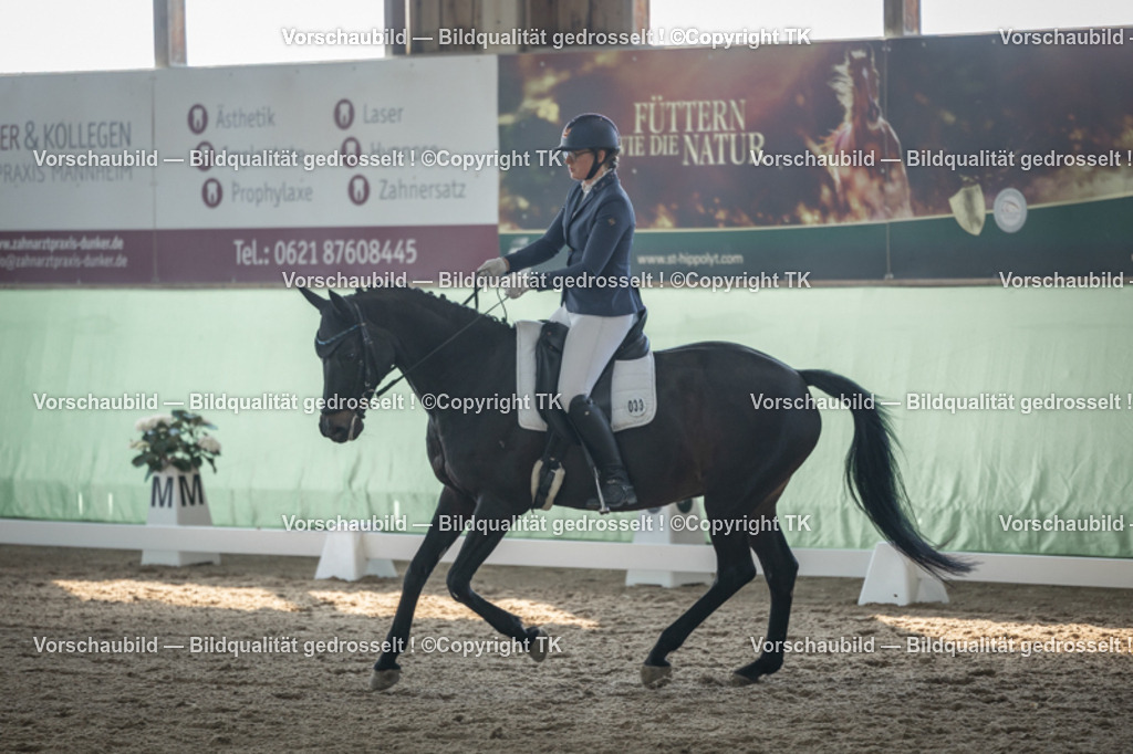 _D5A8323 | Emotionale Pferde- & People-Fotografie rund um Heidelberg, Leimen & Umgebung. Natürliche Fotos von Pferd, Mensch & Familie. Jetzt Termin sichern!