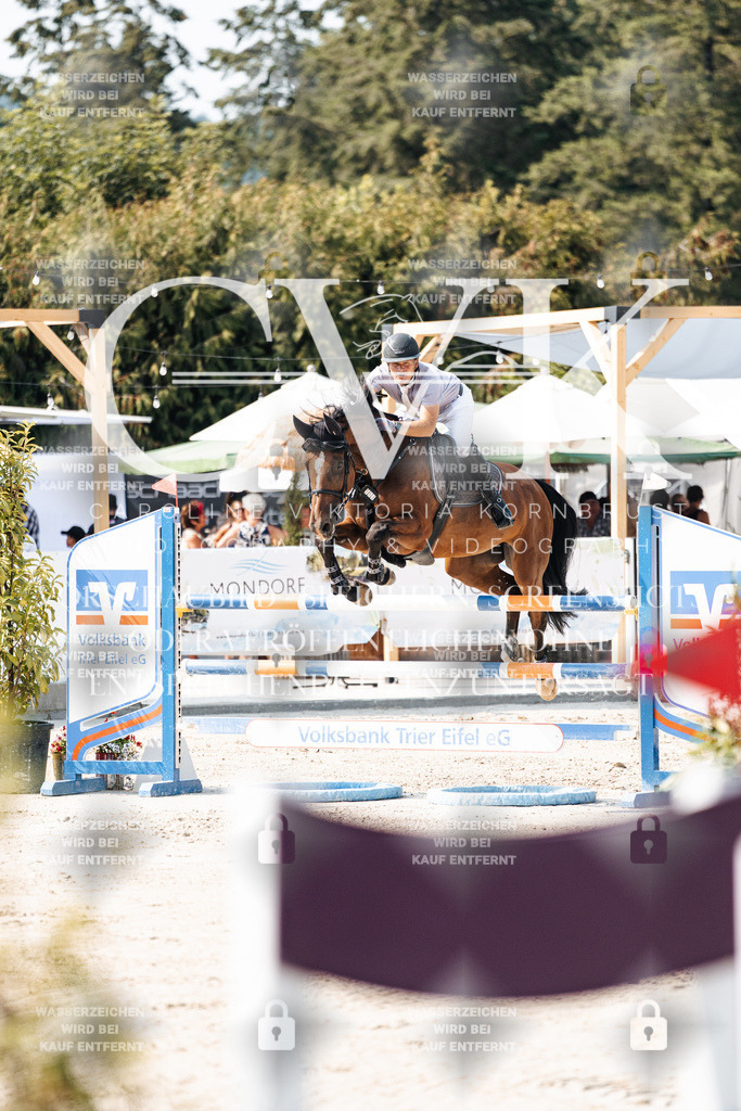 CK902267 | Turnierfotografie Pferdefotografie Trier Rheinland-Pfalz Pferdesport Reitsport Tierfotografie Sportfotografie Pferdevideo Pferdevideografie Equestrianvideography equestrianphotography  - Realisiert mit Pictrs.com