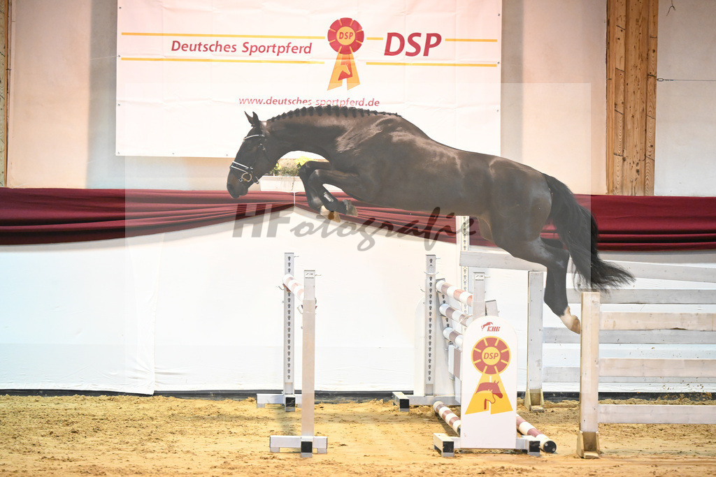 Kat-Nr. 50 v. Tobago Z_Gisler_66221226 | hf-fotografie - Realisiert mit Pictrs.com