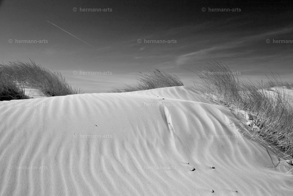 Hermann-Arts_Seaside_244 | Photo Foto Kunst Art schwarzweiss Bilder Rheine Münster Berlin Blumen 