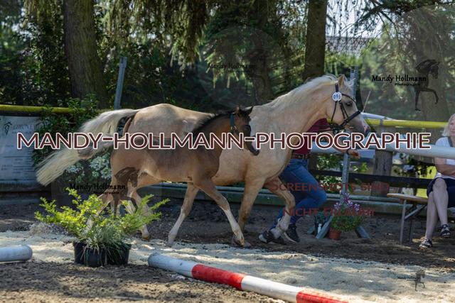 _MG_4965 | mandyhollmannphotographie
