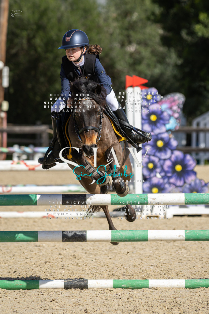 IMG_6314 | s-jay-photography - Realisiert mit Pictrs.com