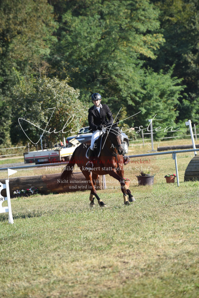 DSC_5221 | Pferde- und Turnierfotografie in Westsachsen. Pferdeportraits, Auftragszeichnungen und intuitive Kunst.