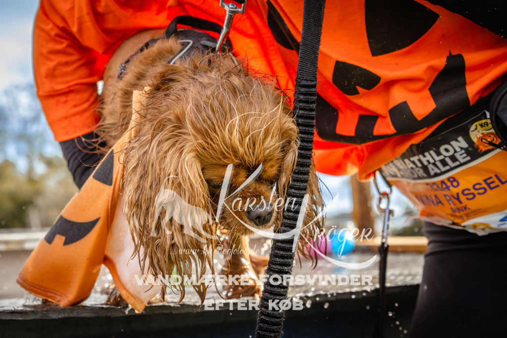 1357_ZZ92978-2 | kk-dogfotos