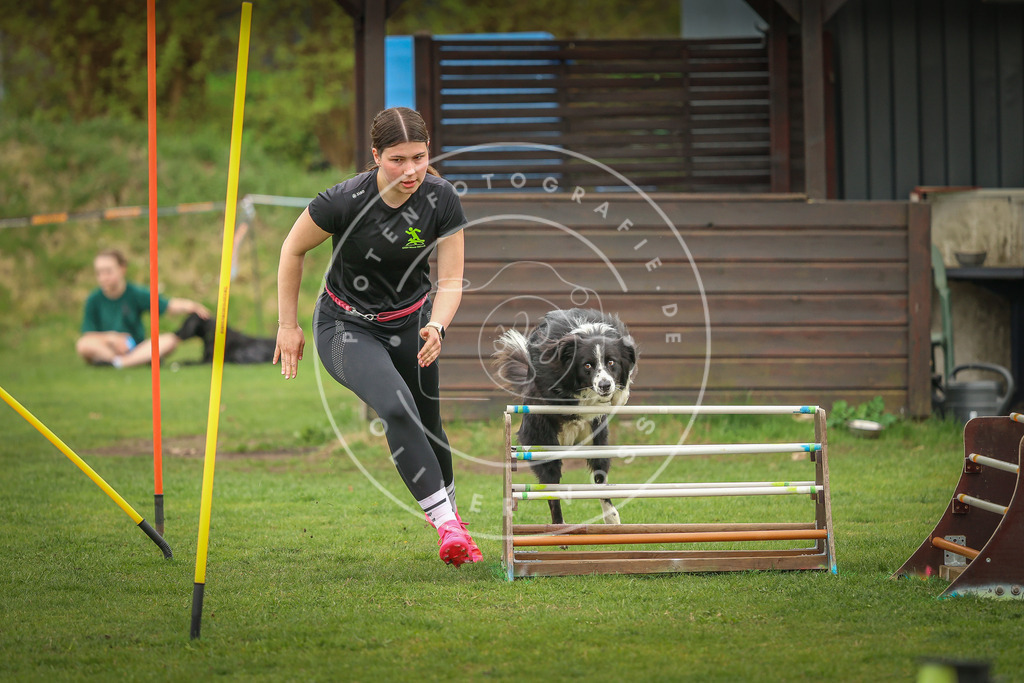Pfotenfotografie_0L8A0779 | Hundefotografie, Tierfotograf, Pfotenfotografie, Fotoshooting Hund, Hunde Portrait, Hundesport, Hundeportraits, Heideshooting, Hunde, Sportfotograf, Hundefotograf, Turnierhundsport, THS,  - Realisiert mit Pictrs.com