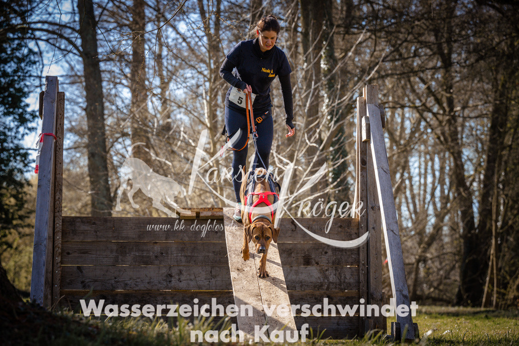 0921_ZZ95112 | kk-dogfotos
