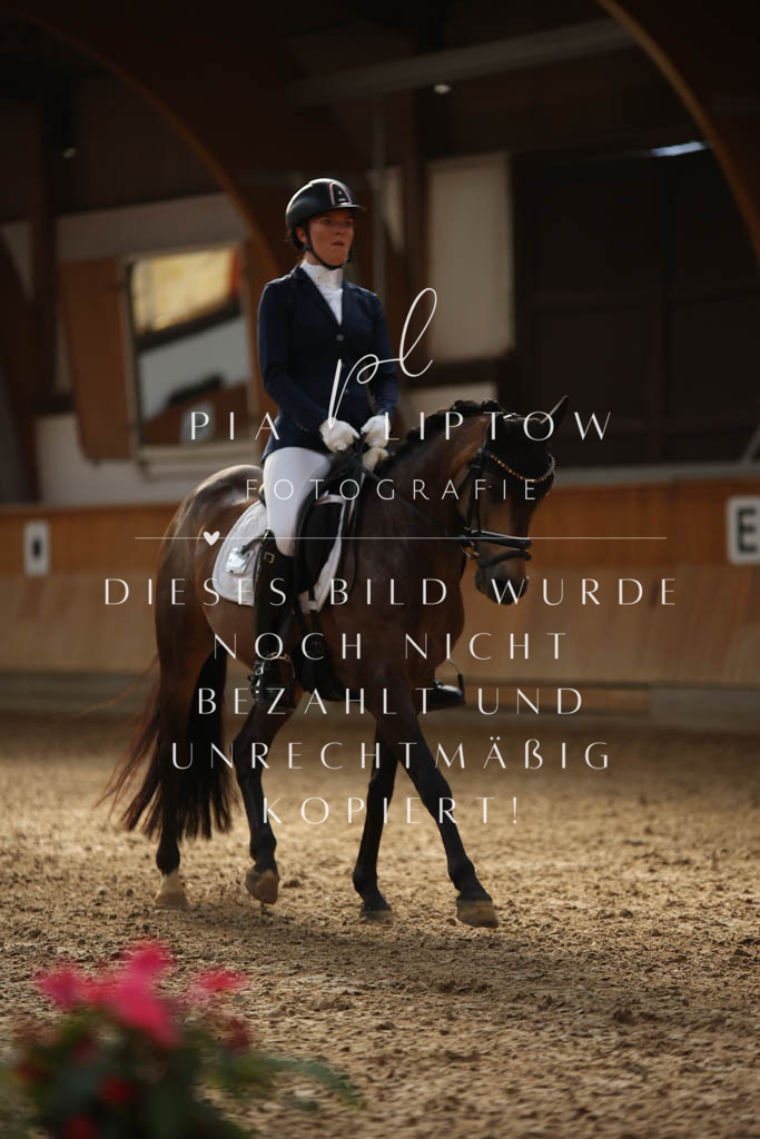 IMGS3534 | pl-fotografie