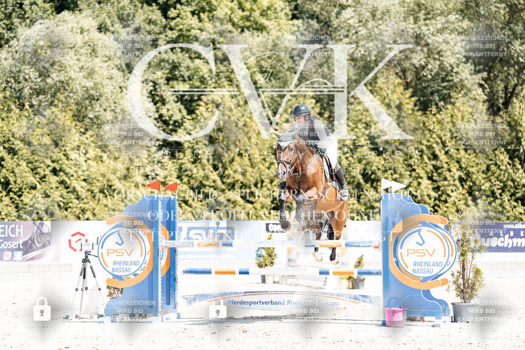 CK900291 | Turnierfotografie Pferdefotografie Trier Rheinland-Pfalz Pferdesport Reitsport Tierfotografie Sportfotografie Pferdevideo Pferdevideografie Equestrianvideography equestrianphotography  - Realisiert mit Pictrs.com