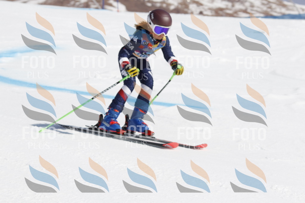 _U3G0464 | holidayphoto