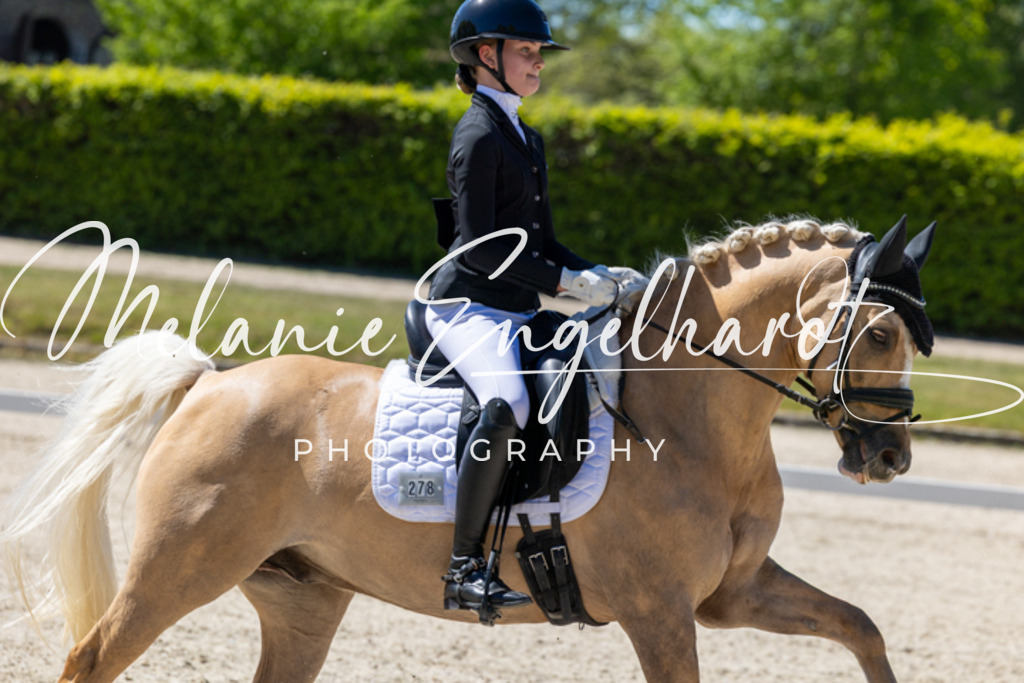 7I8A0591 | melanie-engelhardt-photography - Realisiert mit Pictrs.com