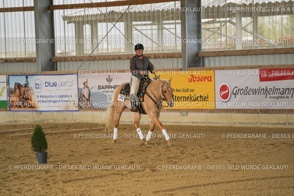 DSC04982 | Pferdegrafie