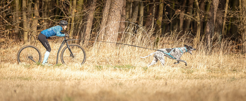 DV3A4700 | Hundefotografie, Tierfotograf, Pfotenfotografie, Fotoshooting Hund, Hunde Portrait, Hundesport, Hundeportraits, Heideshooting, Hunde, Sportfotograf, Hundefotograf, Turnierhundsport, THS,  - Realisiert mit Pictrs.com