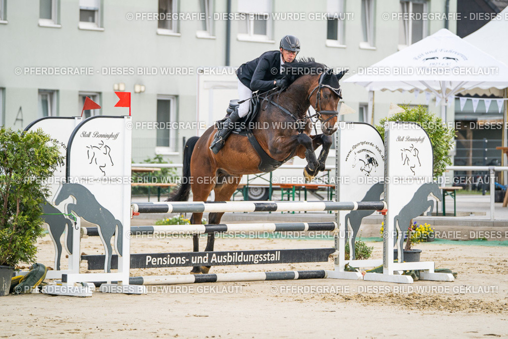 DSC08667 | Pferdegrafie