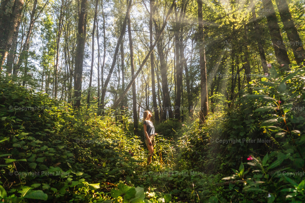 Talboden_Osttirol_Erlebnisraum_Wald_23_Peter_Maier-954 | piet_flosse