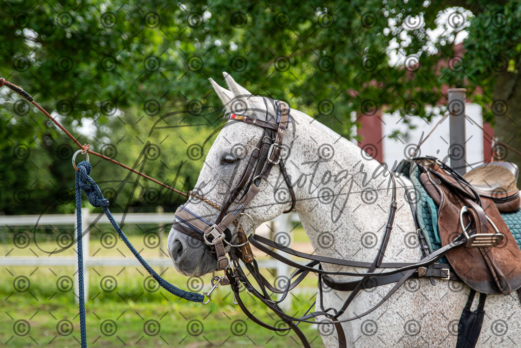 POL_3749 | andre_photographic