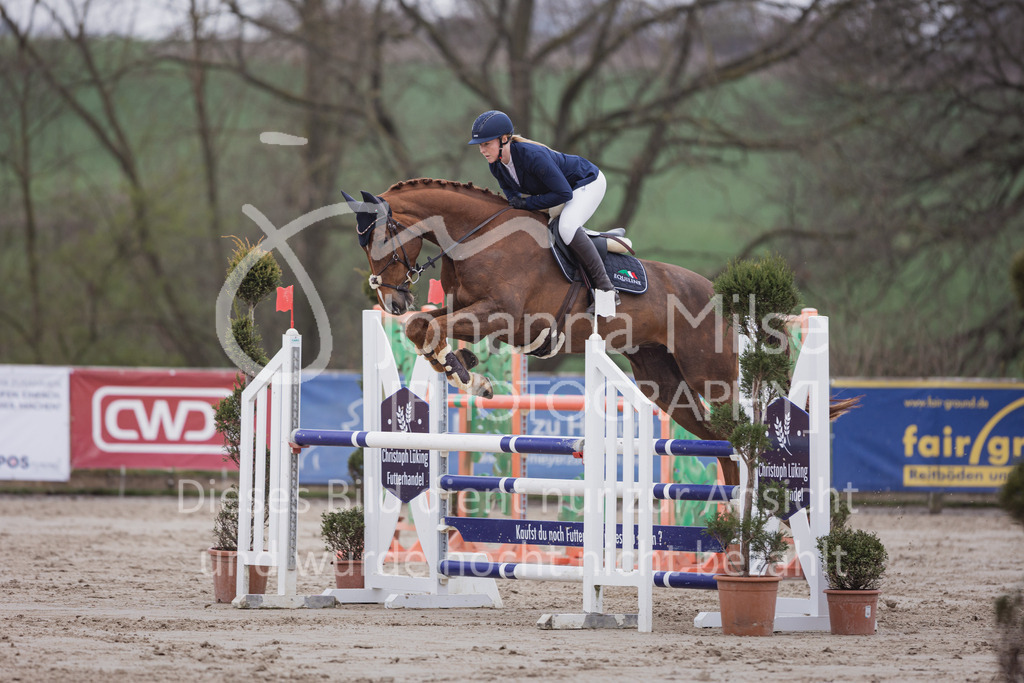 230408_Frühlingsfest_Stil-L-2-817 | Deine schönsten Turniermomente als professionelle Fotos! Entdecke hochwertige Pferdesport-Fotografie im Online-Shop. Jetzt Fotos finden & bestellen!