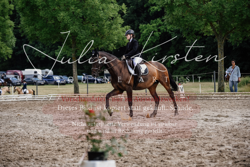 DSC_0786 | Pferde- und Turnierfotografie in Westsachsen. Pferdeportraits, Auftragszeichnungen und intuitive Kunst.