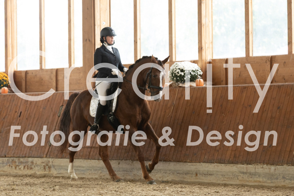 IMG_2850 | Creatify Fotografie