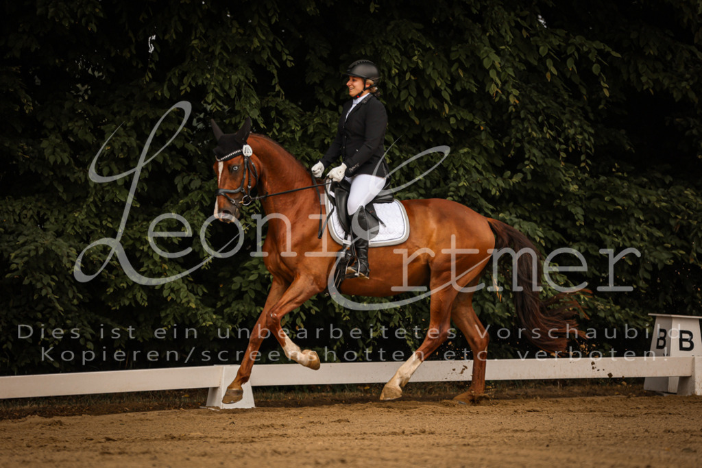 DoDrA00023 | Leoni Ertmer Photography - Realisiert mit Pictrs.com