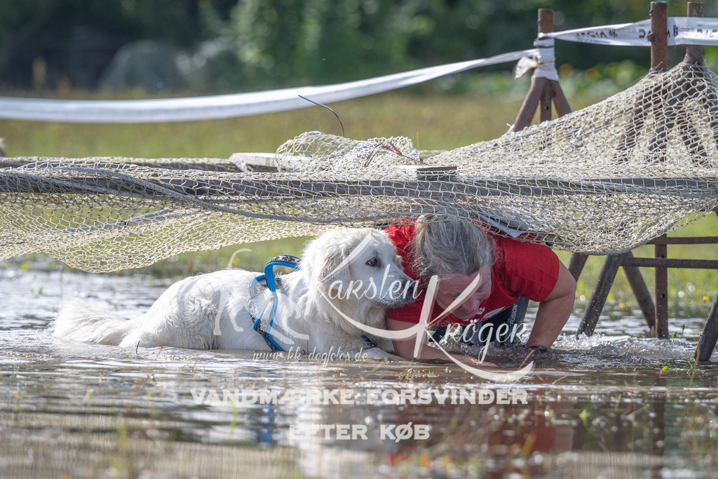 1207_ZZ90097 | kk-dogfotos