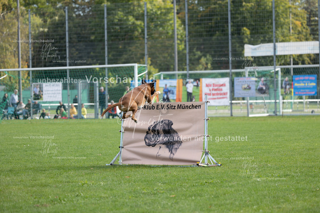 _16A5639 | Einzigartige Fotos von Hunden & Menschen –Actionfotos, Portraits, Vereinsaufnahmen & Paarshootings – authentisch, lebendig & mit Herz.