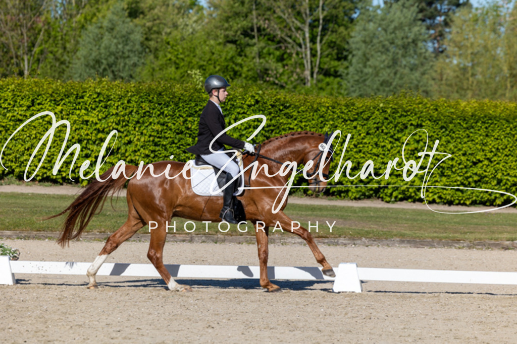 7I8A9015 | melanie-engelhardt-photography - Realisiert mit Pictrs.com