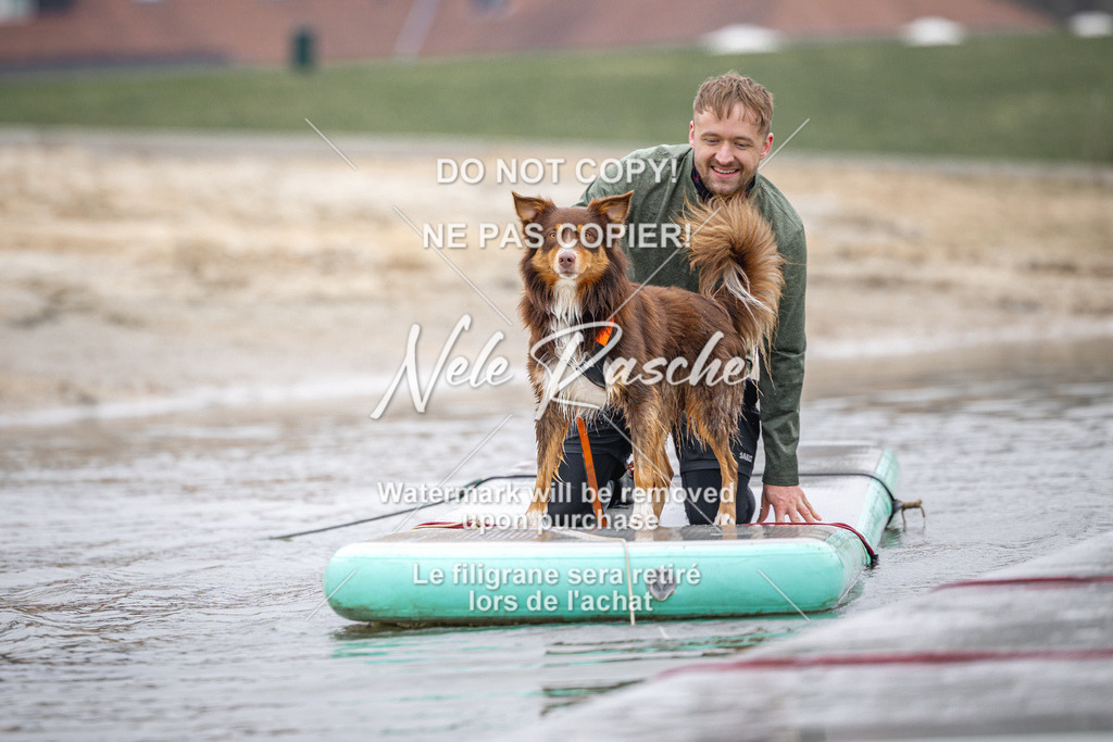 nelerasche_Hulsbeek_Sa1030-1100_565 | nelerasche