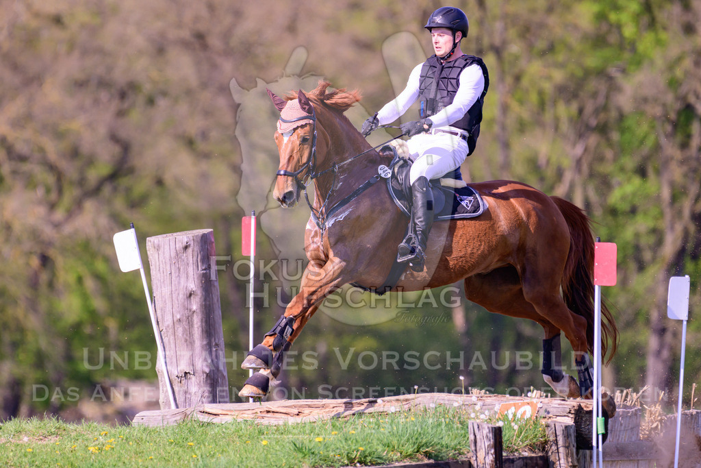 18042026-Gernlinden-04-1-0752 | Fokus Hufschlag Fotografie - Realisiert mit Pictrs.com