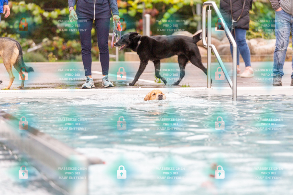 _HP_7191_1000o | HetPix, HetPix Fotodesign, Fotografie, Fotodesign, Webshop, Sportfotografie, Portraitfotografie, Onlineshop, Sportfotografie, Polch, Motorsportfotografie, Eventfotografie