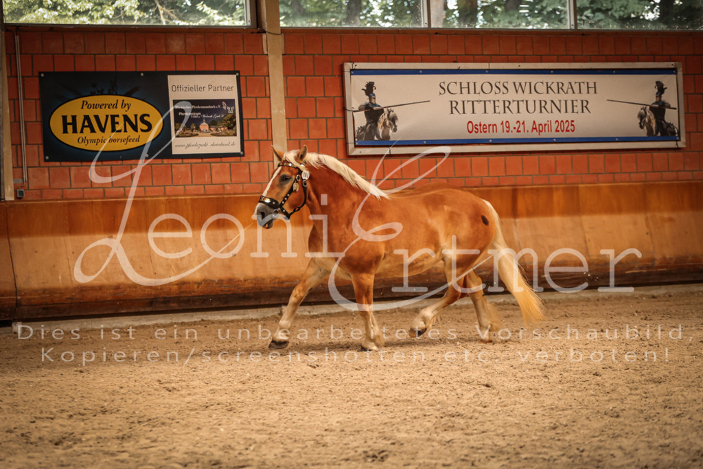 SaFL00233 | Leoni Ertmer Photography - Realisiert mit Pictrs.com
