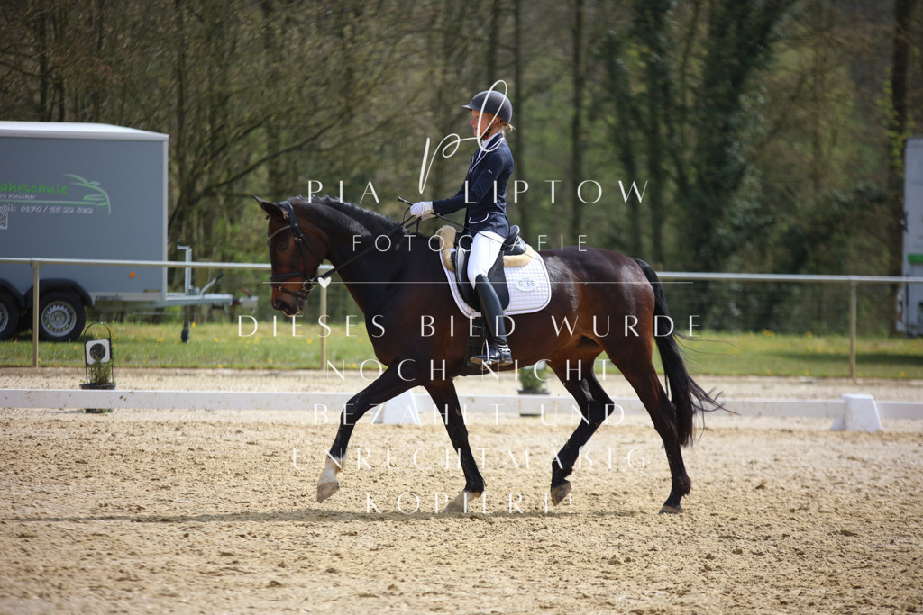 IMGT4898 | pl-fotografie